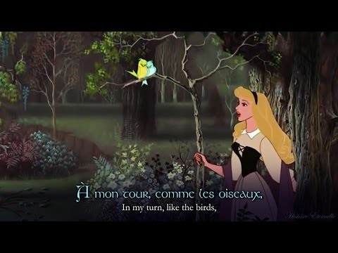 Je Voudrais | I Wonder (French) (lyrics + trans)