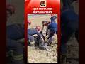 Adana’da çamura saplanan eşek kurtarıldı #adana #donkey