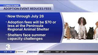 Adopt a pet for $70 or less at Peninsula Regional Animal Shelter through July 26