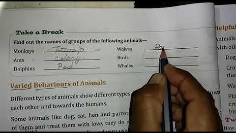 Class 4th EVS Lesson 5 - Animals and Their Behaviour