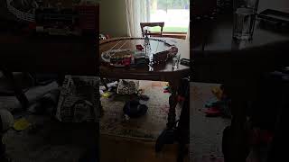 My first cheaply made G scale train layout.