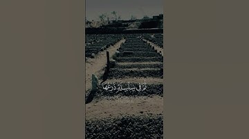 سورة الحاقة | القارئ محمد الليحيدان