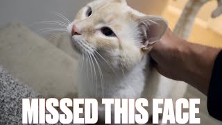 OUR FIRST TIME COMING HOME FROM FAMILY TRAVEL WITHOUT HIM THERE TO GREET US