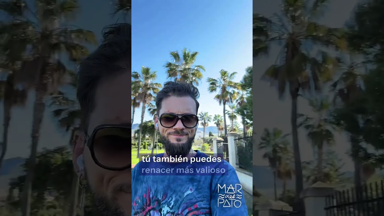 ✨ La alquimia de las cicatrices ❤️‍🩹✨