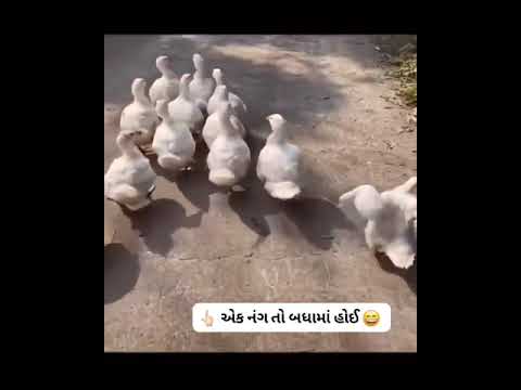 Funny 🤣🤣🤣