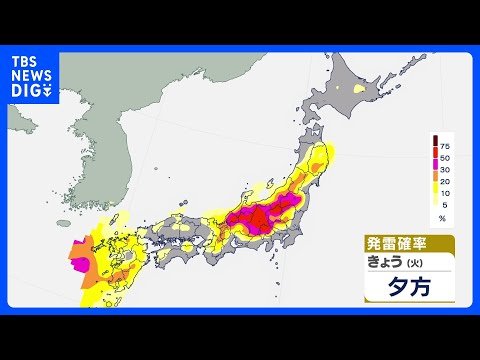 晴れて夏日続く所も　午後は天気の急変に注意　内陸中心に急な強い雨や雷雨のおそれ｜TBS NEWS DIG