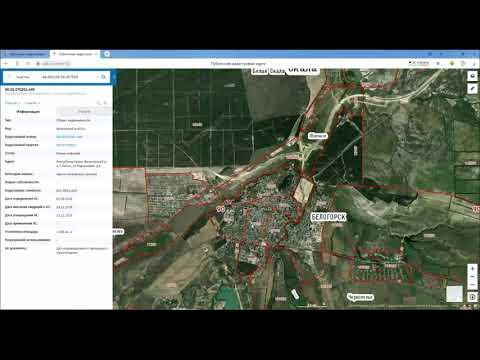 Публичная кадастровая карта. Поиск земельного участка.