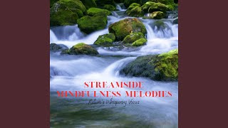 Serenity's Streamside Whispers