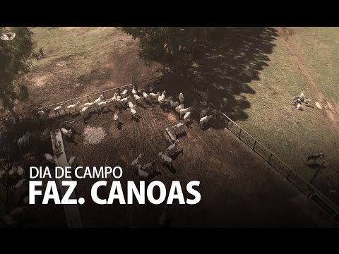 3º Dia de Campo da Fazenda Canoas