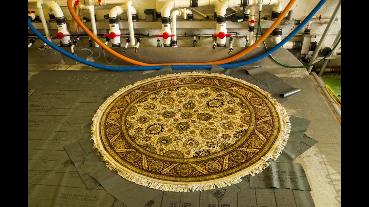 REMOVING URINE FROM AN AREA RUG