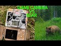 GAME CAMERA VS BEAR