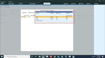 Tally Add On : Batch wise Sales & MRP Rate in Tally Prime Software