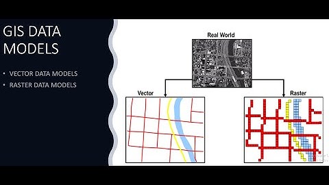 Module 6 Lecture 3 || GIS -3 || Data models