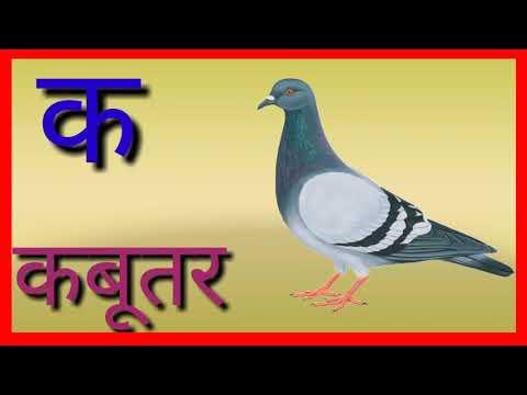 Ka se kabutar|ABCD SONG|Alphabets song|kha se khargosh|hindi varnamala ...