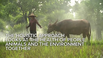 Preventing the Next Pandemic - Phase 4