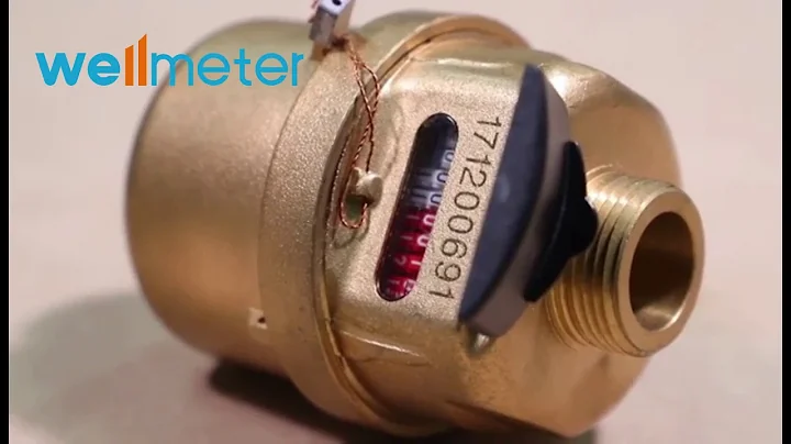 Rotary Piston R200/R160 Volumetric Water Meter--Professinal Supplier Wellmeter