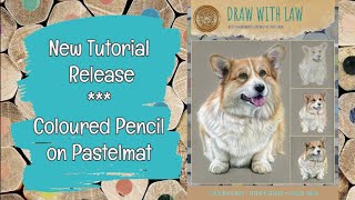 Corgi Dog - Coloured Pencil on Pastelmat - New Tutorial Release