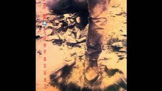 王傑 - 來生再續緣［版伴奏］