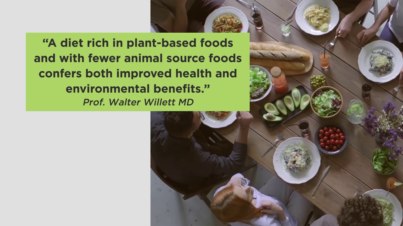 Sustainability of Extra Virgin Olive Oil with the Olive Wellness Institute