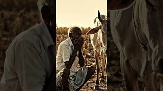 relation between a farmer and a cow. #pixel paw studio . # ai video