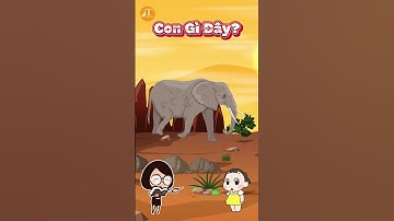 #shorts Dạy Bé Nhận Biết Các Con Vật Ở Sa Mạc: Tê Giác Sa Mạc 🦏 Desert Rhino, Con Bò Cạp 🦂 Scorpion