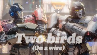 Transformers One AMV - Two Birds