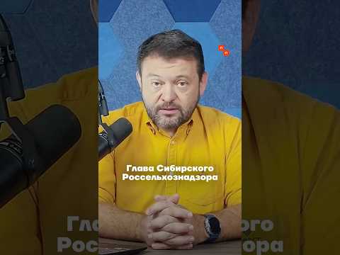 Дело раскрыто. Виновник забоя скота в Сибири найден