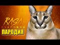 Песня Клип БОЛЬШОЙ ШЛЁПА Rasa - Пчеловод ПАРОДИЯ / BIG FLOPPA