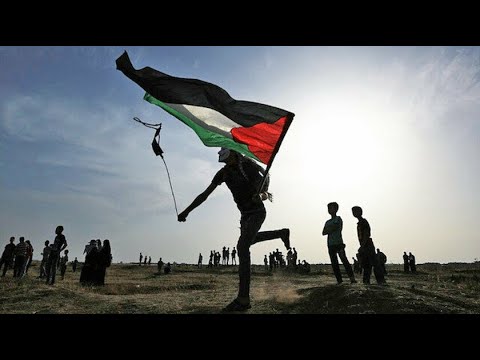     عاشت فلسطين