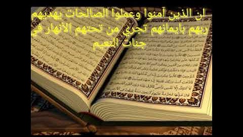 القارئ عبد الرحمن ابو الغيط