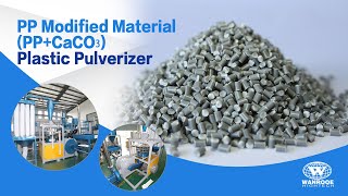 Plastic Pulverizer Machine Pnmp Pp Modified Material Miller Machine Ppcaco3 Grinder Machine
