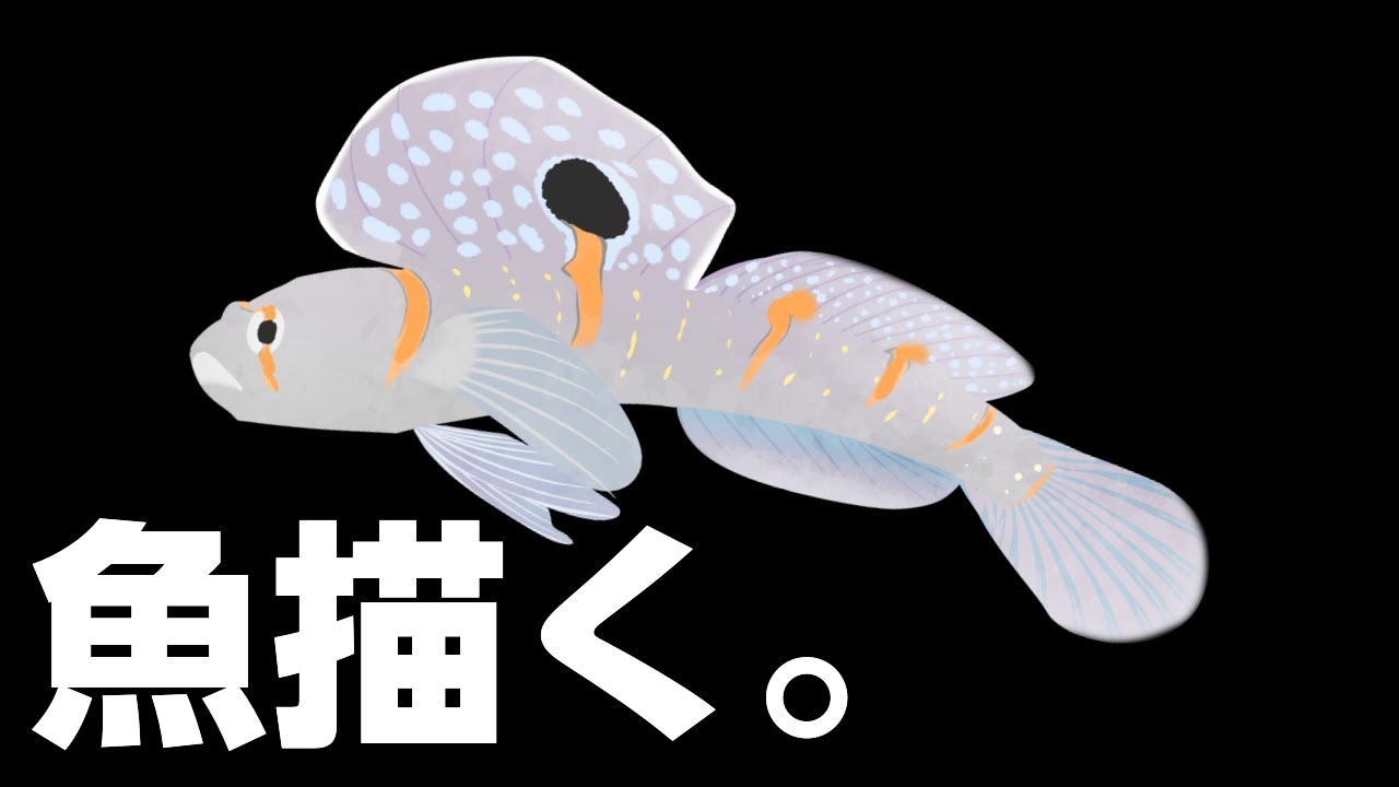 【お絵かき配信】さかなかく！南国の魚なんて、いくら描いてもいいですからね！【Fish Drawing】 