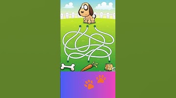 Correct Path #logicpuzzles #riddlejourney #brainteasers #puzzle #quizchallenge