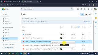 How To Restore Deleted Google Drive Files