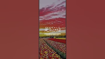 تلاوة قرانيه تريح القلب والنفس بصوت القارئ الشيخ رعد الكردي