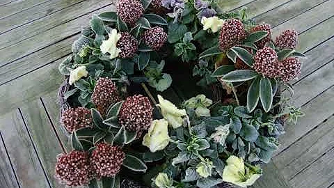 Spitsbroek - Eede - Netherlands