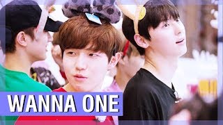 WANNA ONE FUNNY MOMENTS