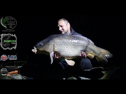 Pêcher la carpe en mode dépression by Carpecanal