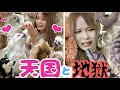 犬まみれ、ヘビまみれ。【ドッキリ】