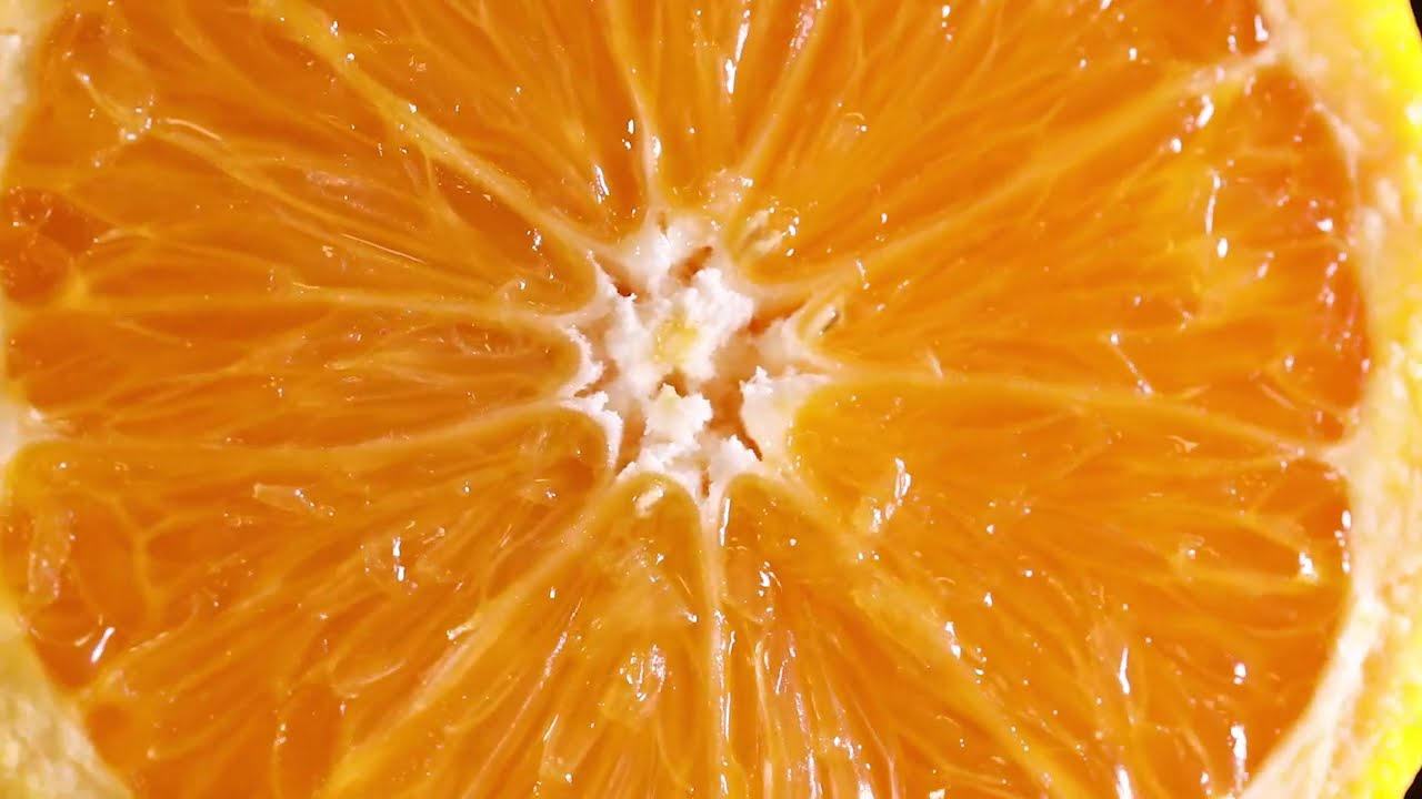 Beer On Earth - Orange Belt IPA Beer Video Teaser