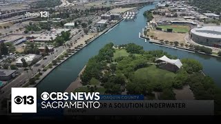 Stockton project aims to combat toxic algae at port