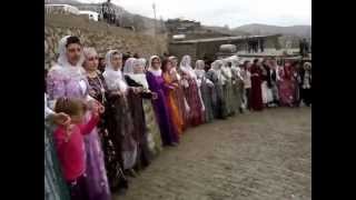 şınak düğünleri (balveren)