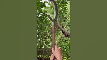 Làm con dao quắm đi rừng bằng thép mắt xích xe tăng Nhật chặt cây như chặt chuối vậy thật hiếm có