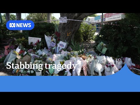 Bailed teen arrested over fatal stabbing of Darwin's Friendly Grocer owner | ABC News Episode cover