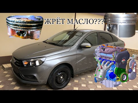МАСЛОЖОРА БОЛЬШЕ НЕ БУДЕТ ЕСЛИ СДЕЛАТЬ ТАК !!!