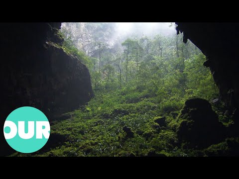 The Discovery Of The World's Biggest Cave | Our World