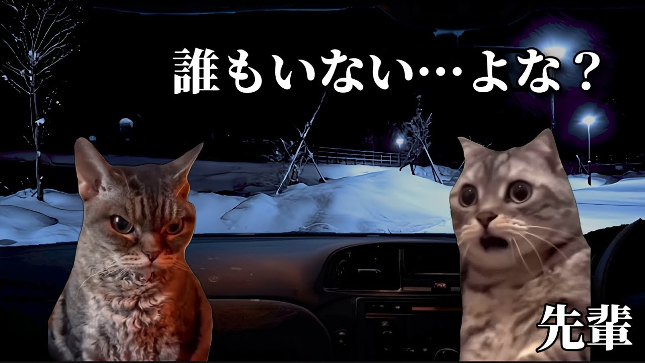 先輩が体験した雪国での怖い話　