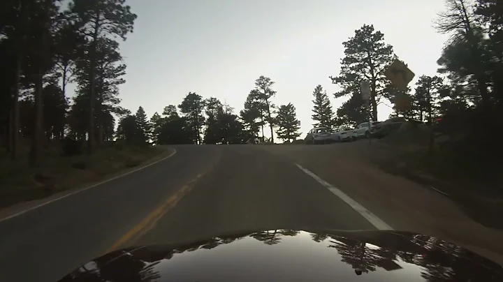 Up and Down Mountian Road