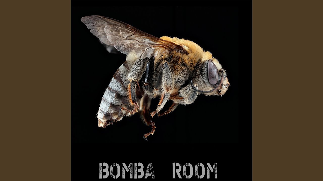 Cheerful (Honey Bunny Remix)