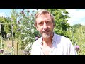 Dave Goulson – Growing Flowers to Save the World #FOODTALK
